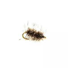 Griffiths_GNAT.webp