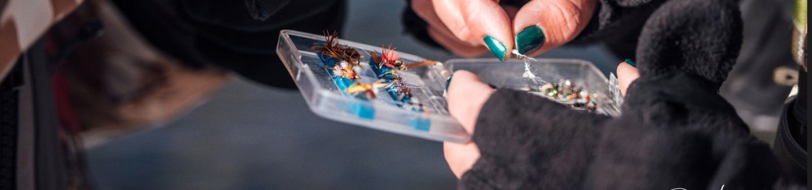 Selecting flies during the winter