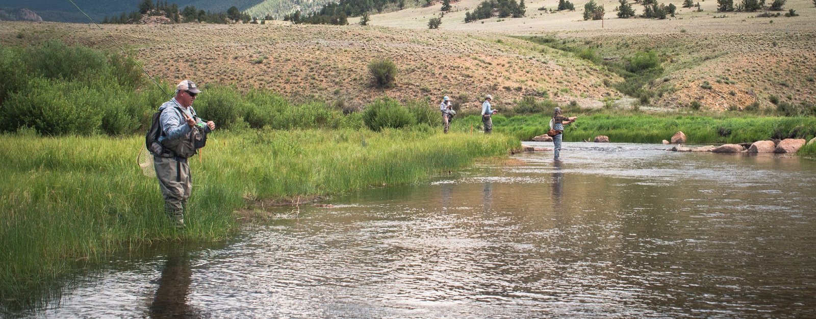 Tarryall Creek
