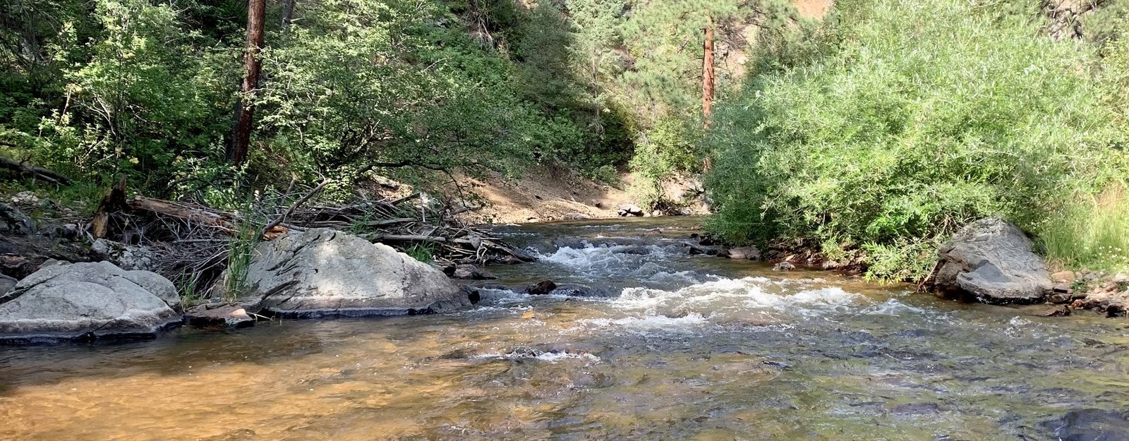 Bear Creek